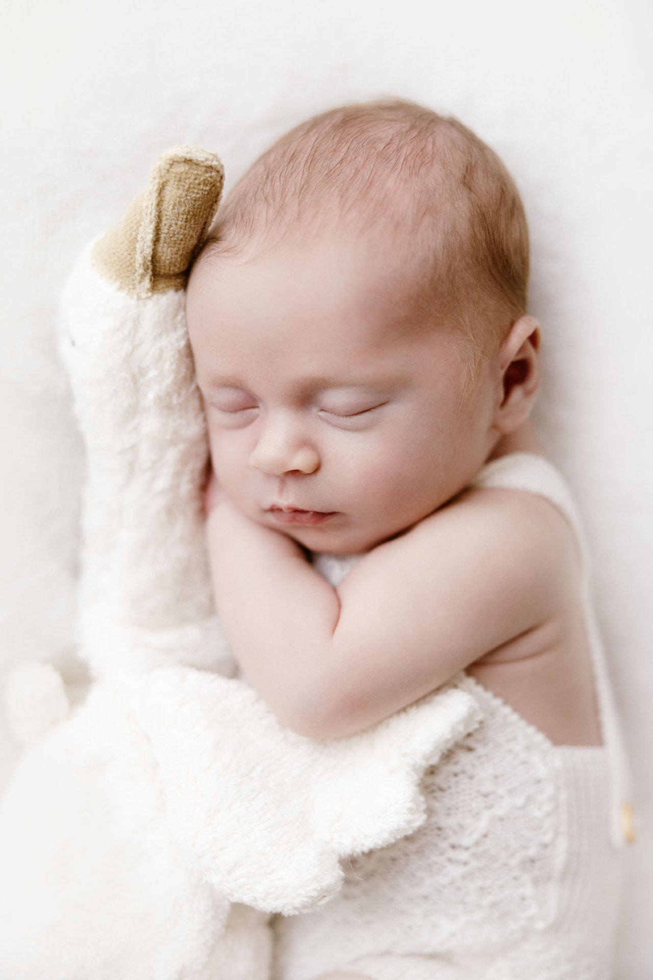 Sleeping newborn resting beside a soft white goose