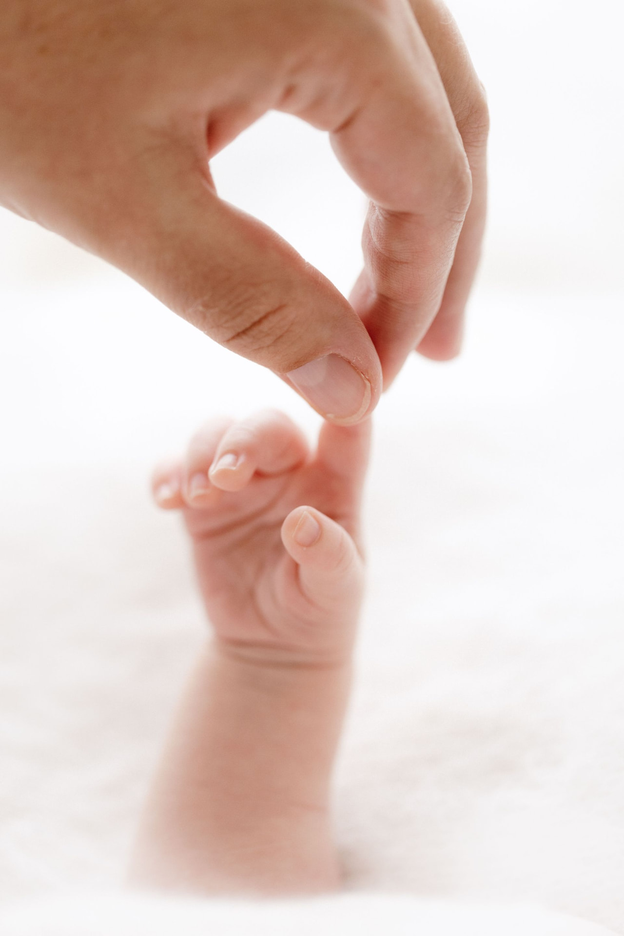 Baby hand held by her parent's hand